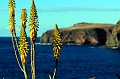 2016-11-06_191115 gran-canaria-2016